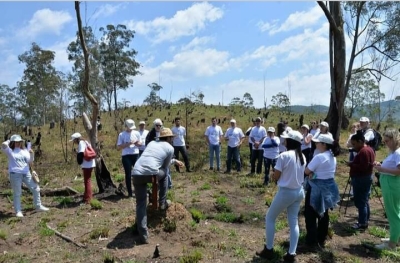 Raízes da União inicia projeto de plantio com mudas de árvores no Sistema Cantareira em SP